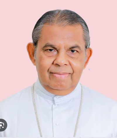 Vice President